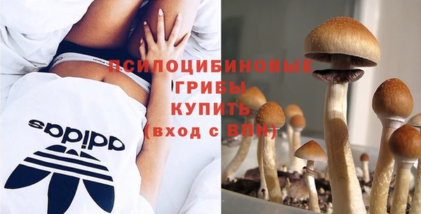 а пвп мука Алзамай