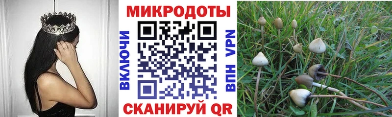 Псилоцибиновые грибы ЛСД  Губкин 