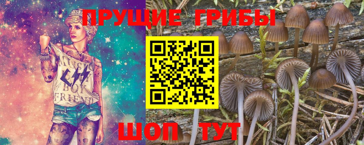 Псилоцибиновые грибы Magic Shrooms Губкин