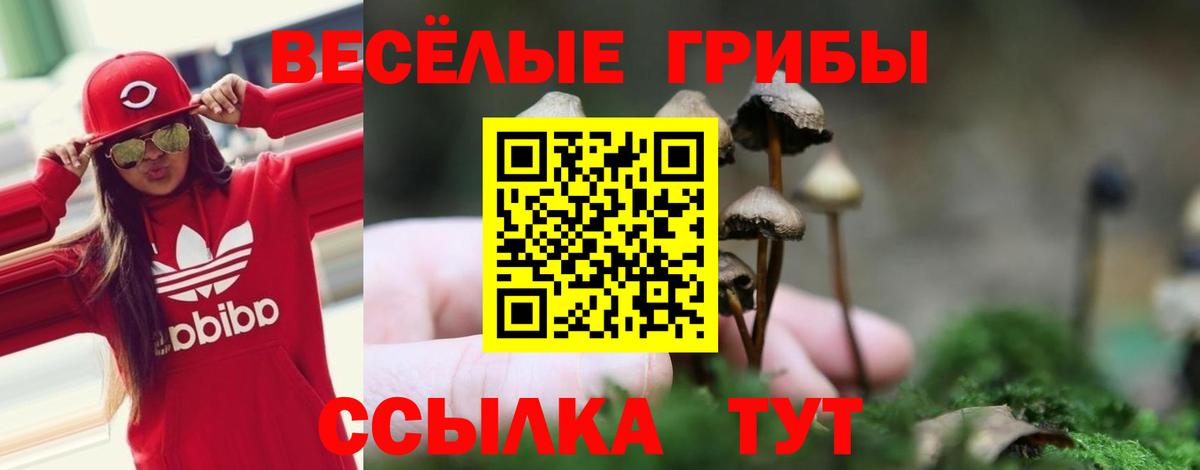 Губкин  Псилоцибиновые грибы прущие грибы  Галлюциногенные грибы Psilocybe  наркошоп  Вход с VPN 